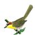 Rufous-capped Warbler